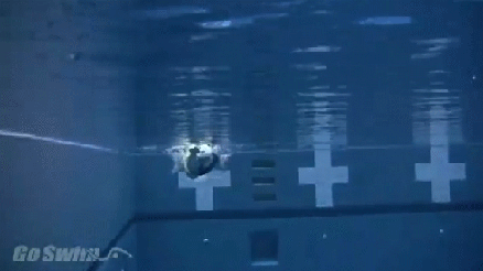 爬泳動作,五個頭部和手部最容易出現的常見錯誤問題 爬泳動作,五個頭部和手部最容易出現的常見錯誤問題