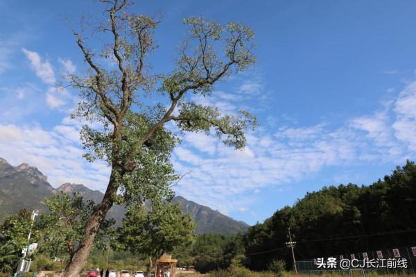 河南商城：深山之村——裡羅城風景如畫（組圖）
