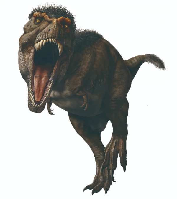 快來看科學家復原的霸王龍長啥樣？小掌心相對，甚至還有點兒可愛