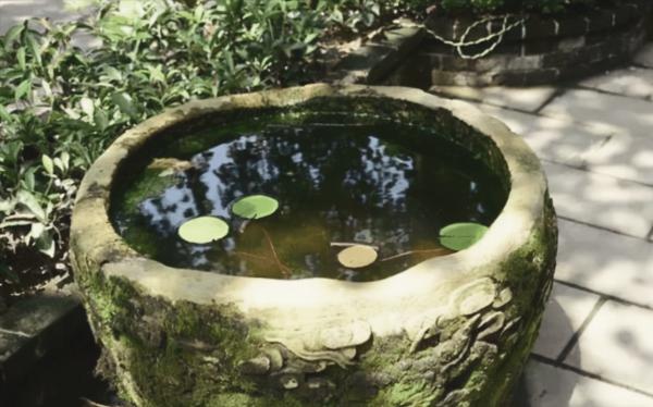 民間奇案：男子離奇身亡，懷揣丈夫錢袋，縣令錯判，狄公翻案