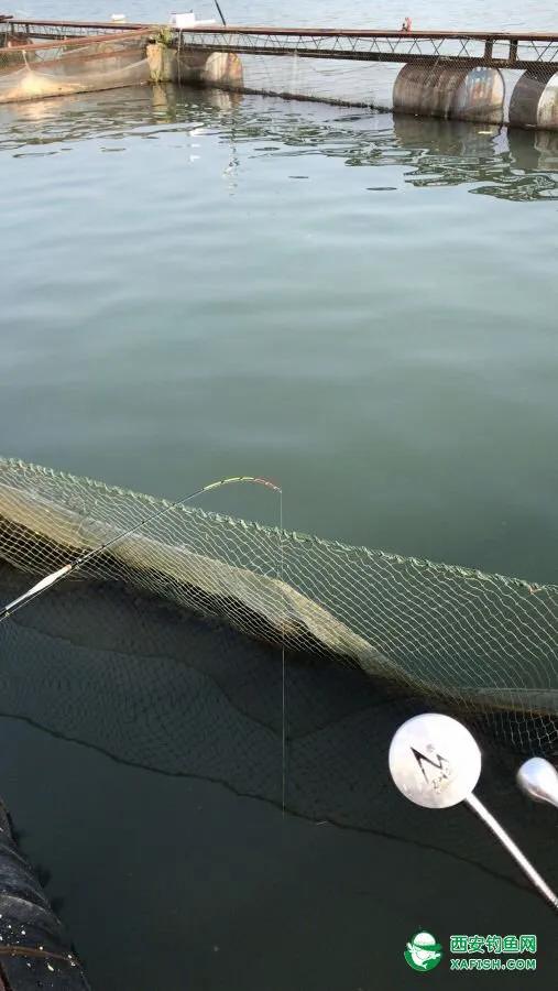 筏釣江湖(一) 筏釣江湖(一)