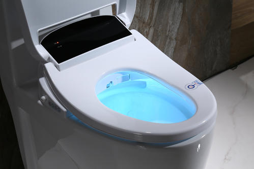 智慧馬桶的&OpenCurlyDoubleQuote;八不選&rdquo;，看完這篇避雷攻略，挑選智慧馬桶不糾結