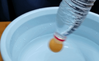 3個親子趣玩科學實驗，給家長的手把手教程來了