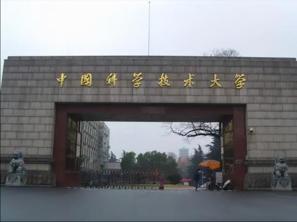 手持15項專利，拒絕給美國高薪聘請，中國科研女神林媛毅然回國