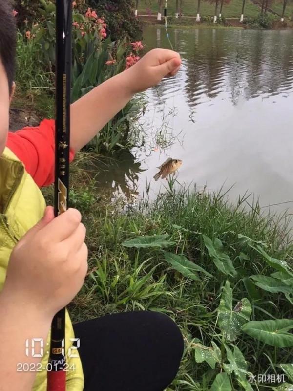 上陣父子兵，不經意間盡然釣到心念唸的馬口魚，真是野釣驚喜多