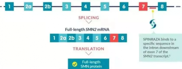醫保目錄又調整：70萬“天價藥”降成3萬一支，近3萬家庭受益