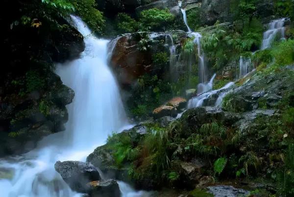 趣旗自駕線路分享：歡聚小年，共剪窗花，泡樹上溫泉，住樹上木屋