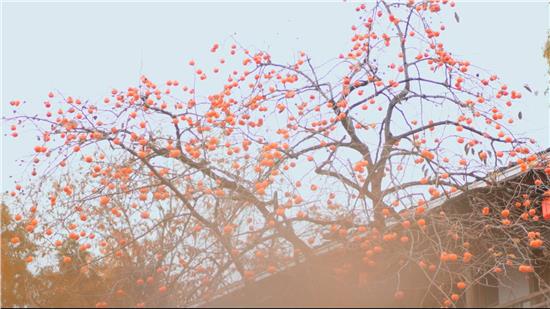 100度電池旅行 究竟能不能電車當油車開