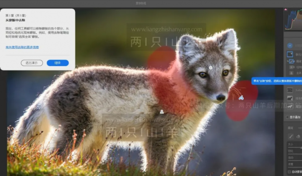終於來啦~Camera Raw14.0史詩級更新,全新介面,全新功能 終於來啦~Camera Raw14.0史詩級更新,全新介面,全新功能