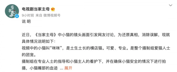 所以於正劇組虐貓了嗎