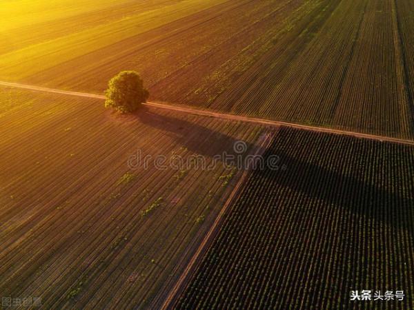 對撂荒棄耕地和城鎮空置房徵收閒置稅 對撂荒棄耕地和城鎮空置房徵收閒置稅