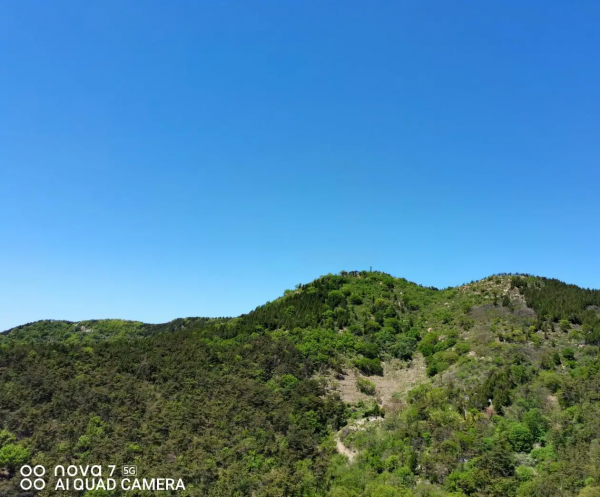 年輕人選手機攻略，強大的麒麟5G晶片一定要看