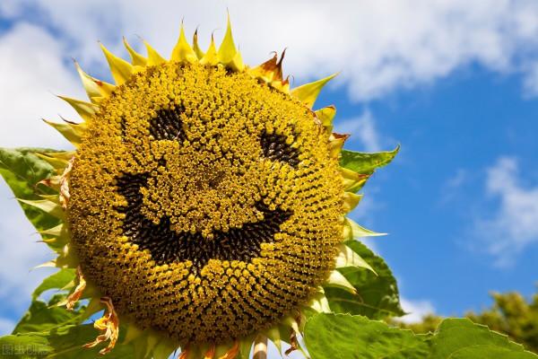 與其逃避，不如坦然面對