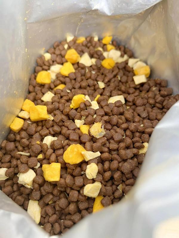 國產犬糧其實也不差！新手養狗可看