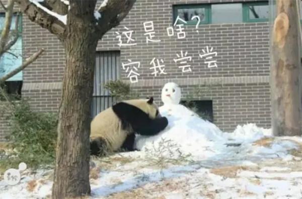 一&OpenCurlyDoubleQuote;墩&rdquo;難求？不存在的！打卡天頤湖畔，讓你實現&OpenCurlyDoubleQuote;墩墩自由&rdquo;