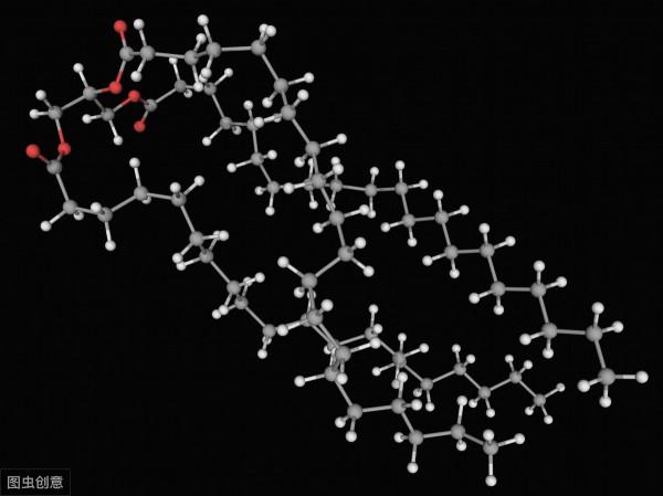 膽固醇、甘油三酯、脂蛋白超標？血脂與日常飲食關係多大？怎麼調