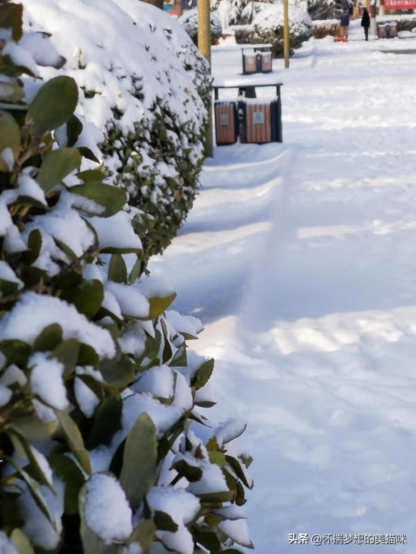 祖國風光無限好