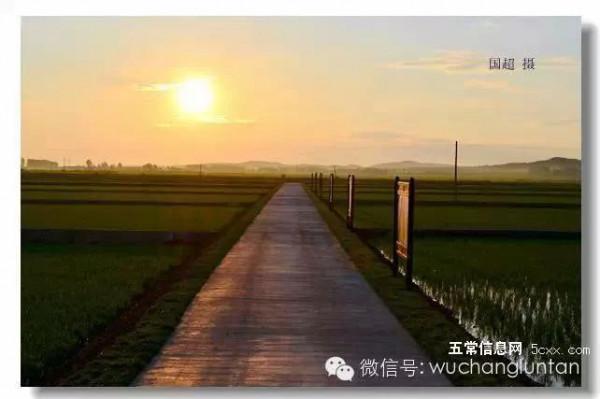 這是五常最美的夏日