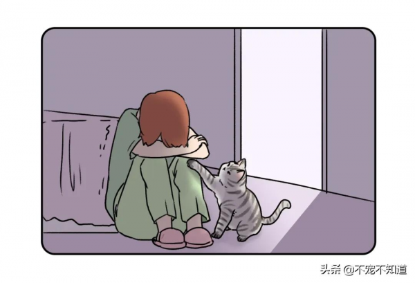 養貓前後對比，你是第幾個？