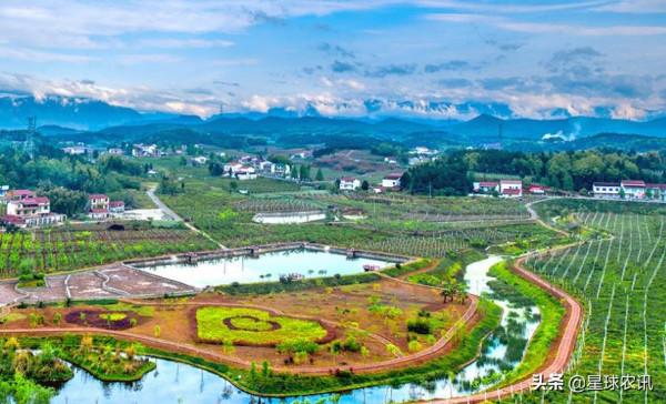 村幹部們可以在村裡吃工作餐嗎?|村委會設定食堂是否合理合規? 村幹部們可以在村裡吃工作餐嗎?|村委會設定食堂是否合理合規?