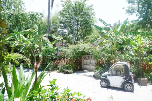 嚮往的生活蘑菇屋收費參觀，20元一人還送果汁，小院實在太美了