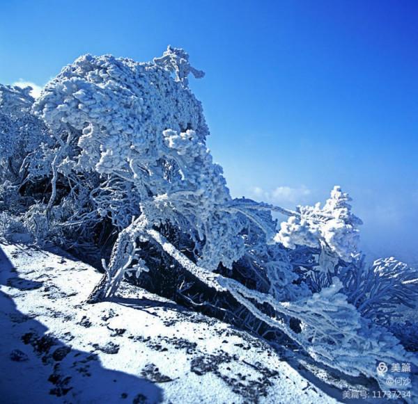 大美莽山(上) 大美莽山(上)