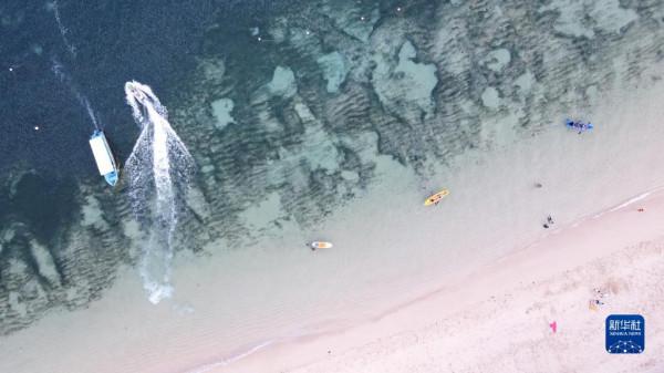 巴厘島旅遊業復甦