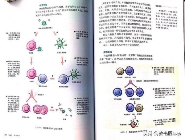 高中生物:人教社2019年版新教材的變化③ 高中生物:人教社2019年版新教材的變化③