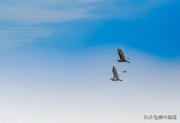 中醫說“上火”，西醫說“發炎”，這是一回事嗎？