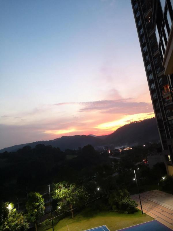 “驢脾氣”的由來 “驢脾氣”的由來