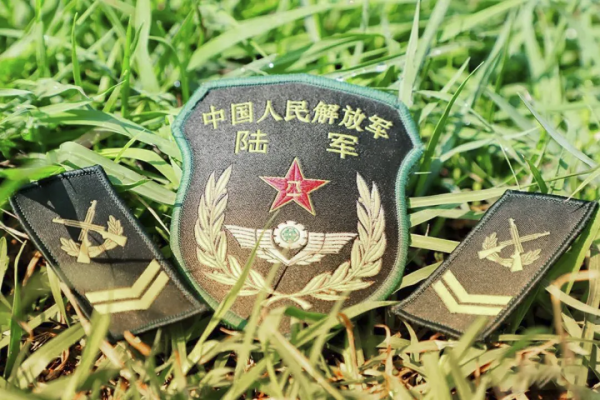 提前1年晉升四級軍士長，王傑部隊這兩名上士太牛了！