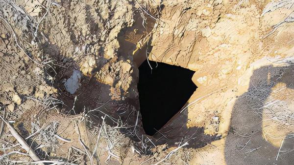 1976年陝西挖出秦公墓，葬式為高等級的黃腸題湊，墓內還有殉葬者