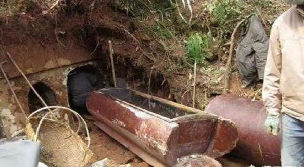 傳說中的“棺材菌”是什麼菌？遷墳發現超大棺材菌，專家：木腐菌