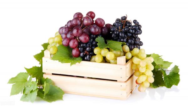 胃不好不能吃西瓜?提醒:若想養胃,不妨試試這2種水果 胃不好不能吃西瓜?提醒:若想養胃,不妨試試這2種水果