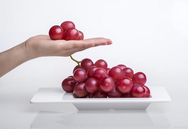 怎樣延緩衰老—長壽的奧秘