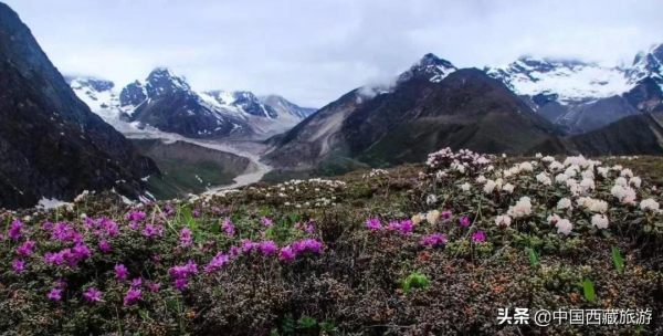 陳坤又來西藏了！曾徒步西藏3次，揭秘他都去了哪！