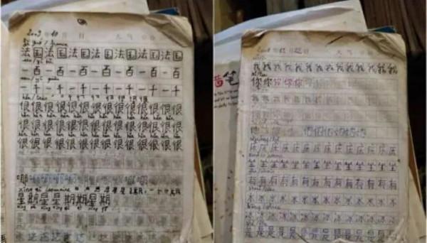 法國女孩因為一張照片愛上中國，直言自己上輩子可能是中國人