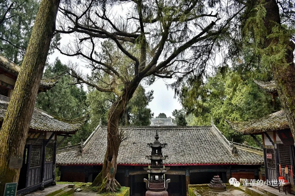 尋古蹟的蓮蓮:神秘洞穴 | 古郪國消逝後的郪江崖墓群 尋古蹟的蓮蓮:神秘洞穴 | 古郪國消逝後的郪江崖墓群