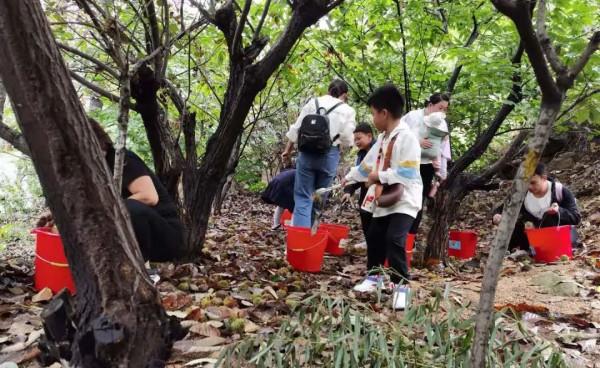 雨後天晴絕美雲海惹人醉!超大月餅免費吃!盡享中秋團圓之樂! 雨後天晴絕美雲海惹人醉!超大月餅免費吃!盡享中秋團圓之樂!