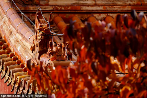 抓緊！初冬探秘京城“龍脈”，紀念最後一抹秋色~