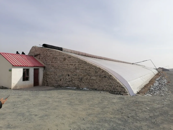 甘肅日光溫室探秘！哪種牆體和骨架最“流行”？哪種造價最划算？