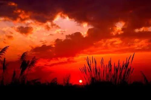 謙虛一點,你會收穫更多 謙虛一點,你會收穫更多