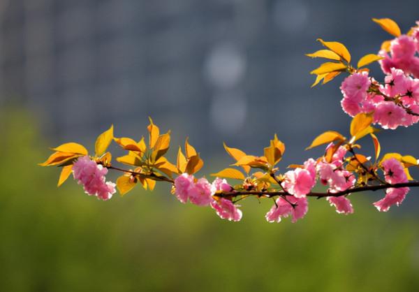 一個人最大的本領，是駕馭自己的心情