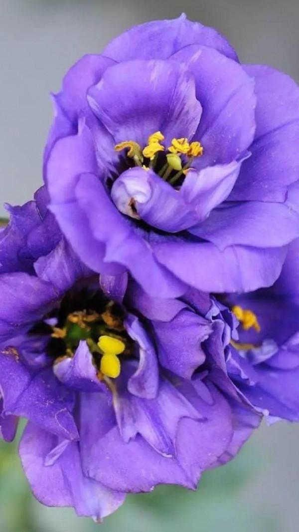 劉學州事件對我們有什麼啟示? 劉學州事件對我們有什麼啟示?