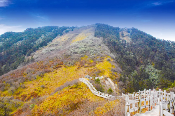 紅葉最佳觀賞期！這些地方全都美成了仙境，趕緊出發