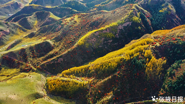 秋染祁連山，馬蹄寺景區五彩斑斕美不勝收
