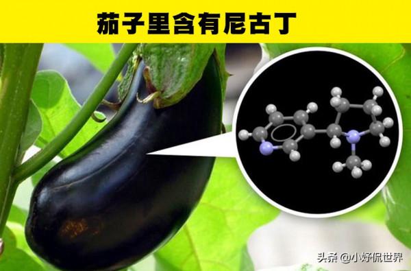 人體內也包含黃金?生活中的7個可能讓你想不到的科學知識 人體內也包含黃金?生活中的7個可能讓你想不到的科學知識