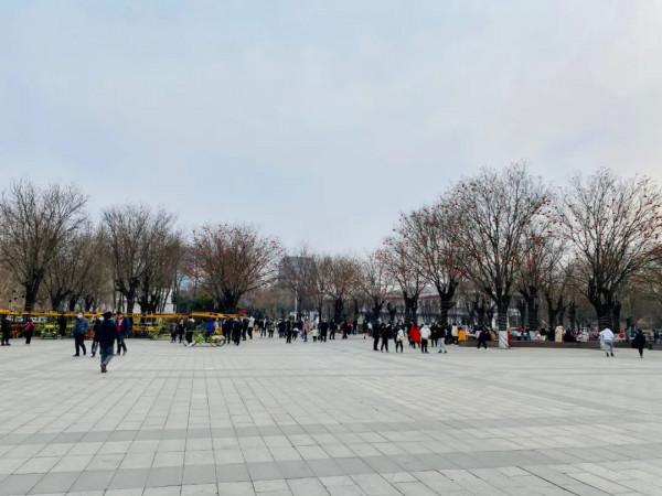 今日元宵丨來園博園賞景團圓兩不誤
