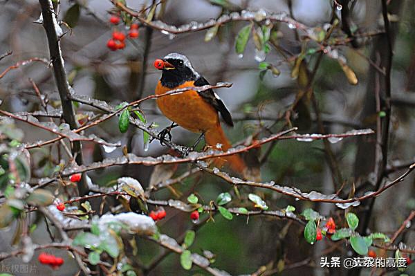 今天農曆八月十三，下雨好不好？有什麼預兆？看老祖宗怎麼說