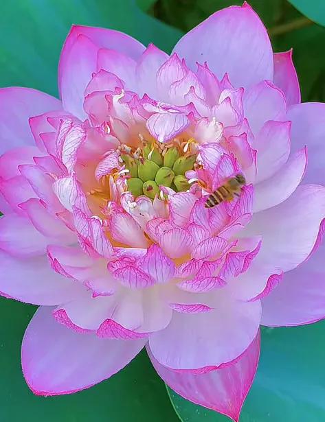 哪個時候讓你明白錢的重要性？